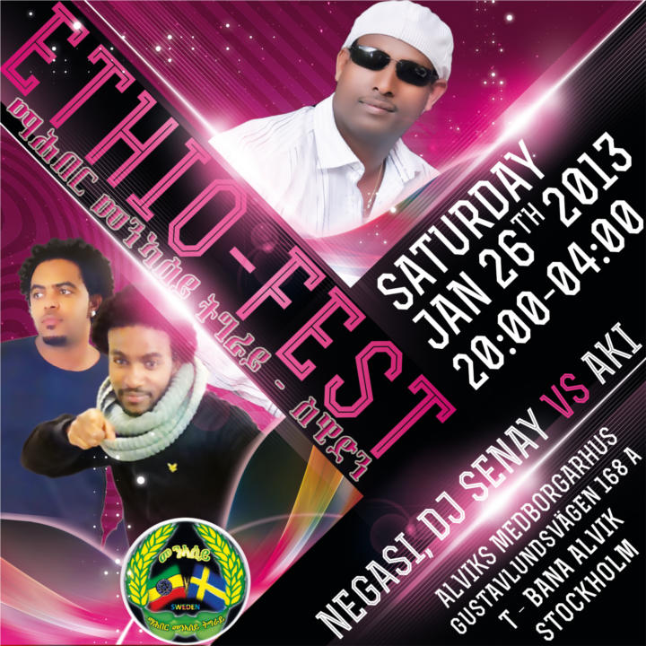 Annual festival of Tigrai Youth Association in Sweden - Tigrai Online